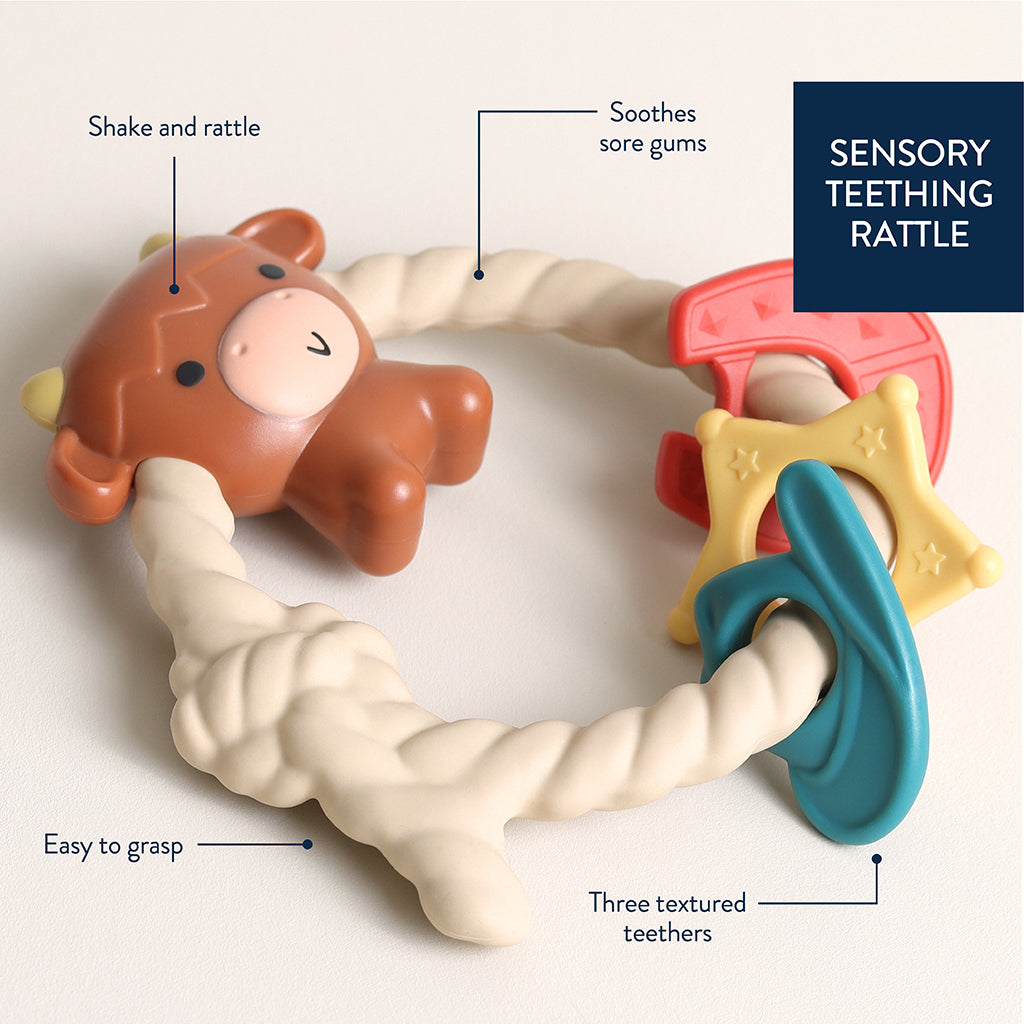Teething ring rattles